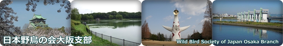 ���{�쒹�̉���x��