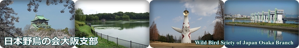 ���{�쒹�̉���x��